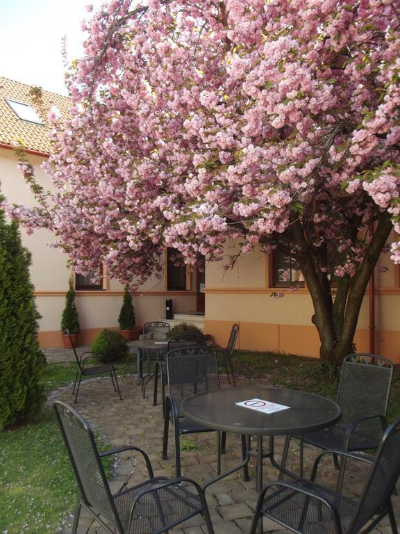 Pannon Hotel Bejelentkezes 20 Oraig, Check-In Until 20 O'Clock, Einchecken Bis 20 Uhr Mohács 외부 사진